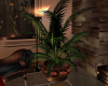 (SL) {LV} Potted Plant