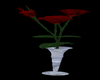 vase & red roses