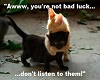 {LSRS}Kitty Bad Luck