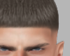 High Fade Brow