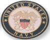 Navy Sticker
