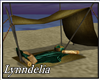 ~L~Shipwreck-Capt Tent