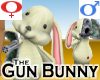 Gun Bunny +V