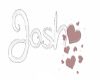 Josh sign (rev)