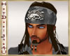 ~H~Pirates Headband Hair