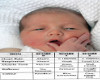 Newborn Baby Apgar Chart