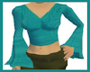 Flared Sleeve Teal Top