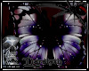 (D)Mournful Butterfly