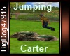 [BD] Jumping Carter