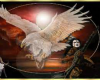 Chippewa White Eagle