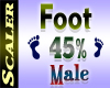 Foot Resizer 45%