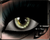 ~DD~ Luci Bronze Eye