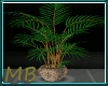 [MB] Willow Plant