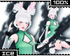 Ice * Bunny / Rifle 100%