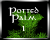 (MD)Potted Palm 1