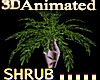 Animated Palm Tree 