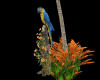 Papeete Parrot & palm