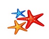 Starfish Marker