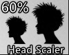 60% HEAD SCALER
