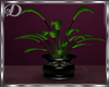 (Di) Potted Plant2