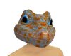 Tokay Gecko Head Male