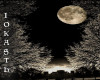 IO-Night Sky Background 