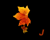 J~Windy Fall Leaves