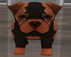 Baby Rotty