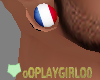 France Flag Earplugs