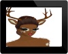 Furry Antlers Aria*