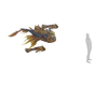 Monster Fish Creature