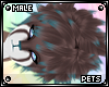 [PETS] Ezi | hair v5