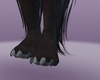 Black Wolf  feet