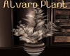 Alvaro Plant