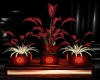 ♋ red/gold Plant Set