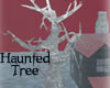 ~haunted tree~