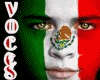 DESMADRE MEXICANO VOCES