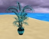 Teal Plant