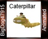 [BD] Caterpillar