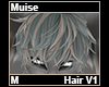 Muise Hair M V1