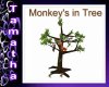 monkey's in tree