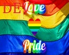 DV Pride Flag+Poses