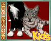 ! KIDS PET CATS