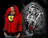 Ferrari Hoody GF3