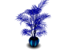 Blue Club Plant