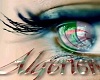 club algeria