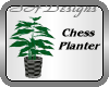 Chess Potted Plant