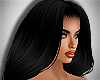 Hollis Black