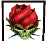 (V) skull rose