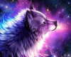 *SW* Wolf Picture